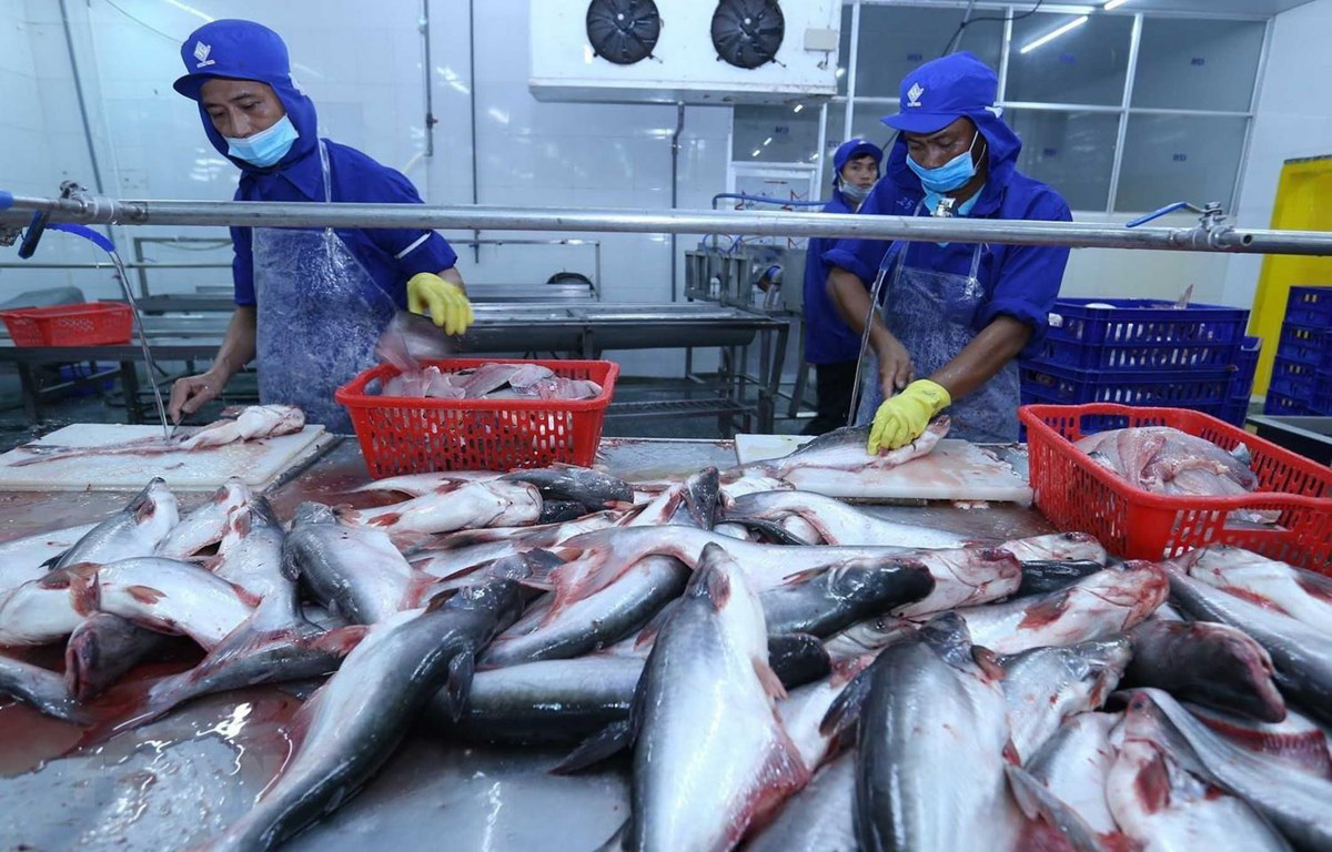 Campuchia: Hủy lệnh cấm nhập khẩu 4 loài cá từ Việt Nam 2