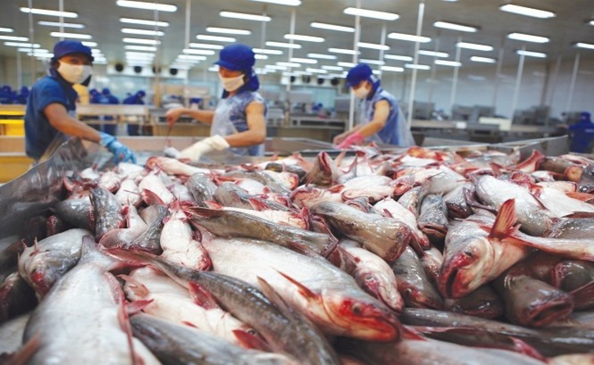 Campuchia: Hủy lệnh cấm nhập khẩu 4 loài cá từ Việt Nam 3