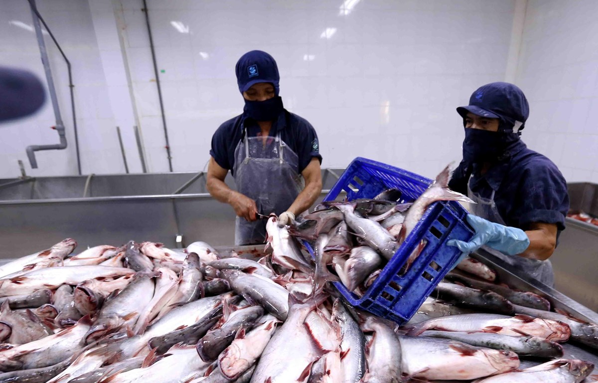 Campuchia: Hủy lệnh cấm nhập khẩu 4 loài cá từ Việt Nam 1