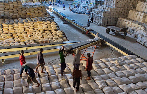 Xuất khẩu gạo hữu cơ: Hướng đi mới nâng cao giá trị thương mại