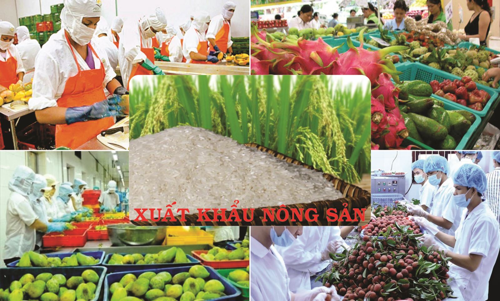 Đón chào năm 2021, nông sản Việt Nam mở hàng 3,5 tỷ USD