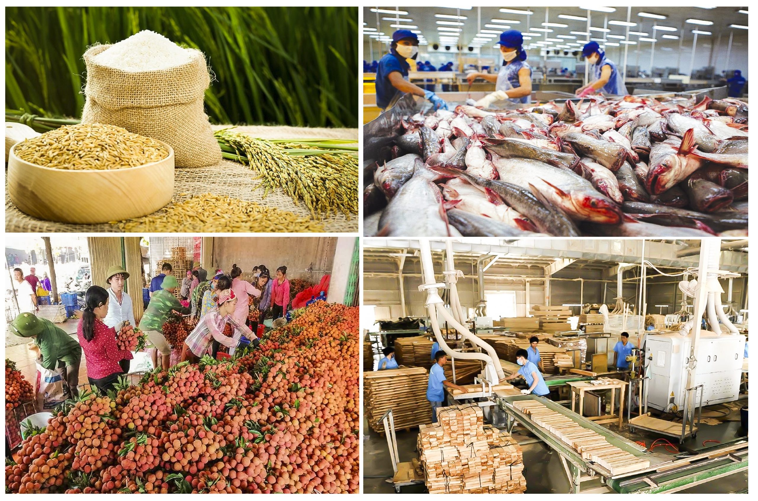 Đón chào năm 2021, nông sản Việt Nam mở hàng 3,5 tỷ USD 2