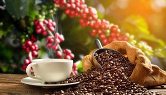 Giá cà phê tăng mạnh đầu năm 2021 khiến nông dân phấn khởi