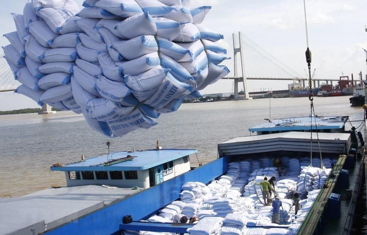 Xuất khẩu gạo Việt tăng rất mạnh