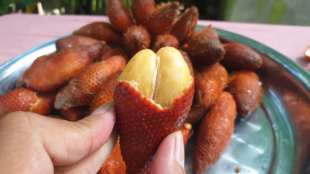Hãy cùng tìm hiểu về loại trái cây đặc sản đất nước Indonesia 3