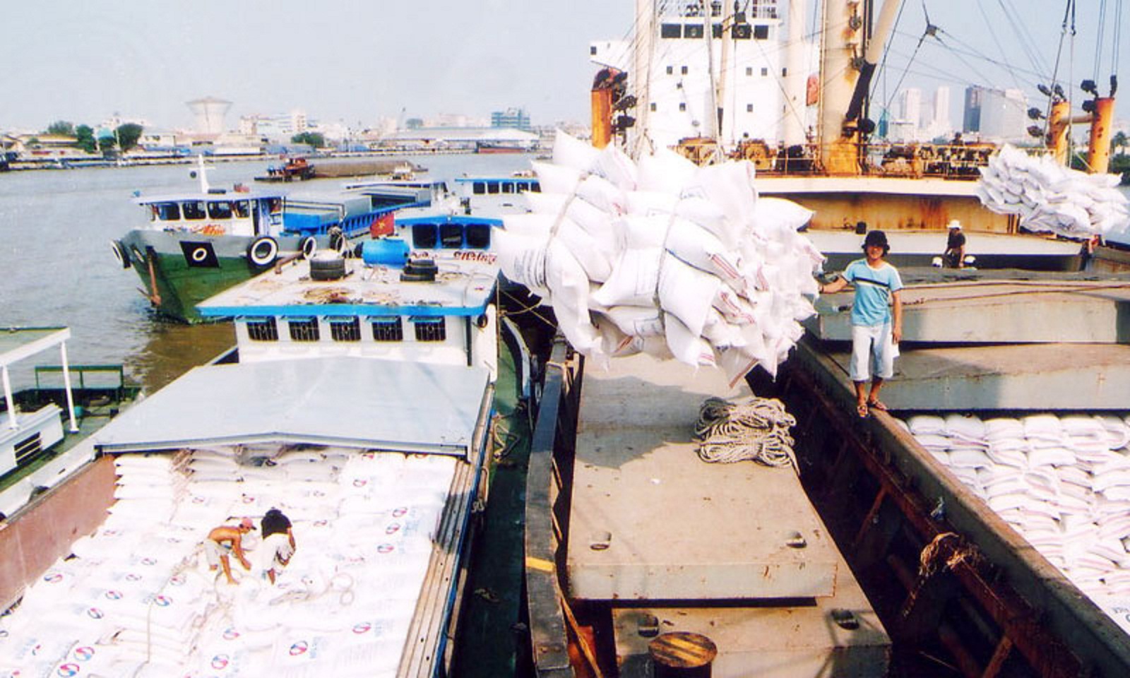Hơn 200 thương nhân Việt Nam có đủ điều kiện xuất khẩu gạo 1