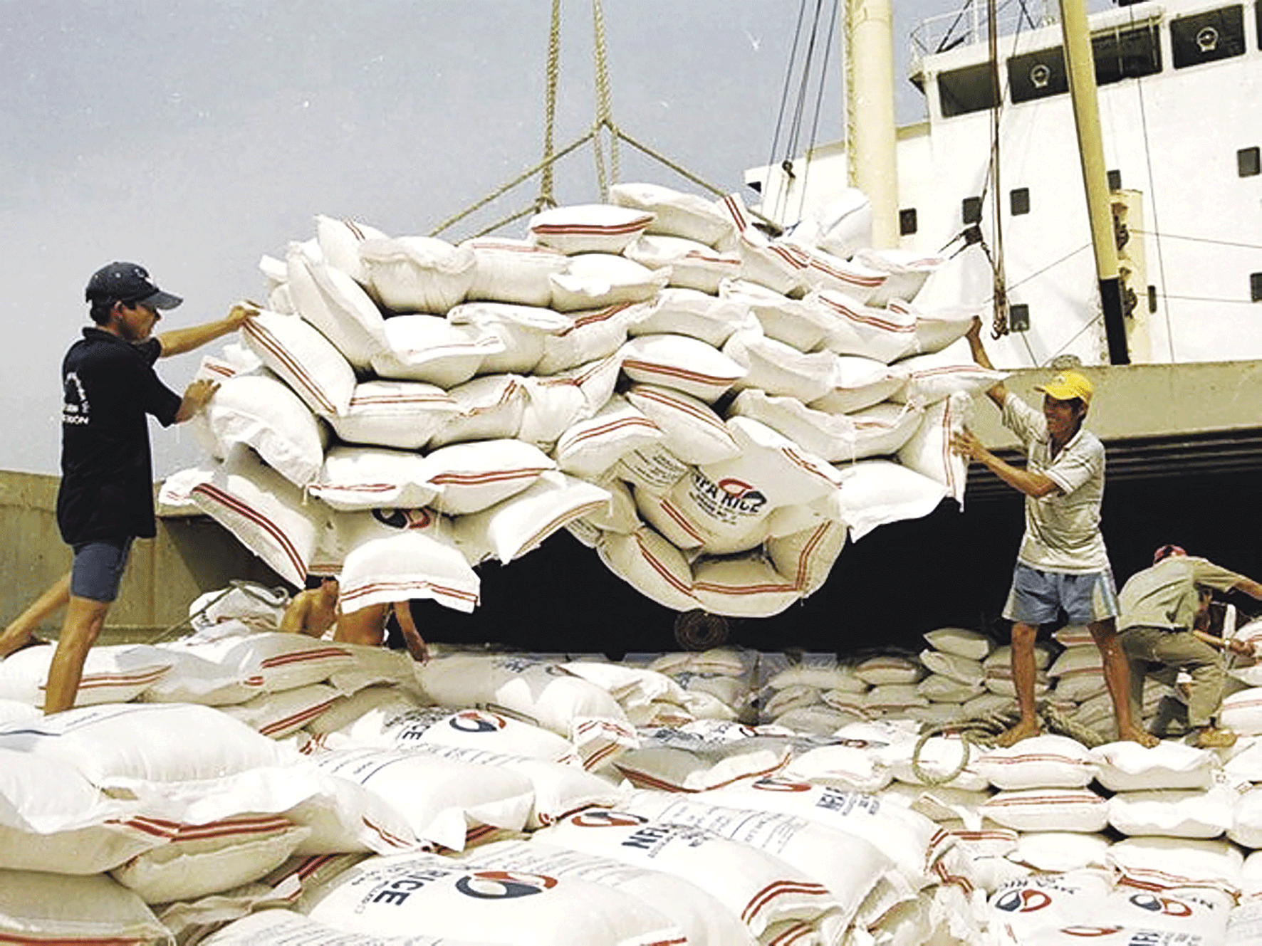 Hơn 200 thương nhân Việt Nam có đủ điều kiện xuất khẩu gạo