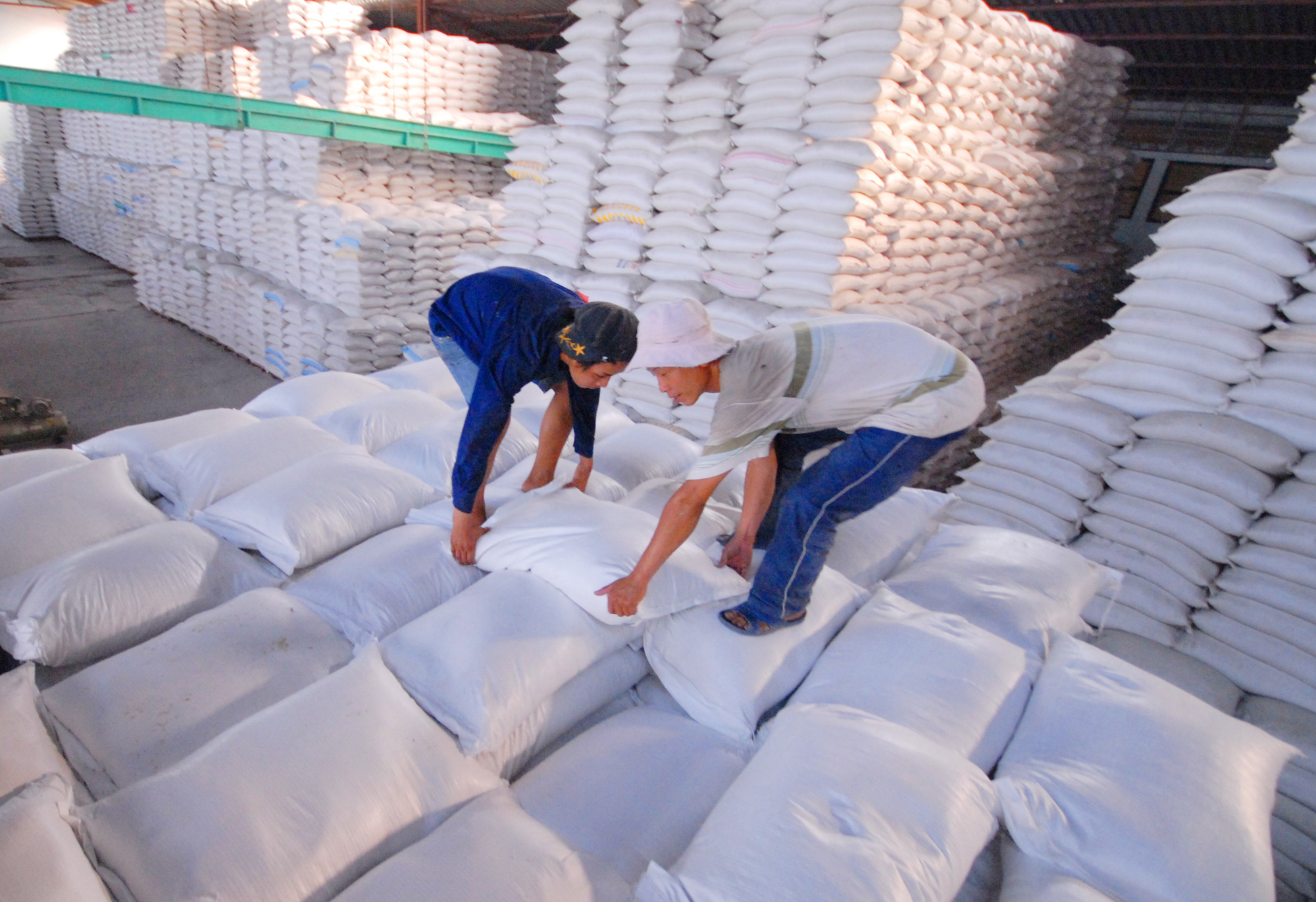 Hơn 200 thương nhân Việt Nam có đủ điều kiện xuất khẩu gạo 3