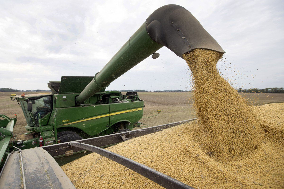 Quốc gia đầu tiên trên thế giới cấp phép xuất khẩu lúa mì Brazil