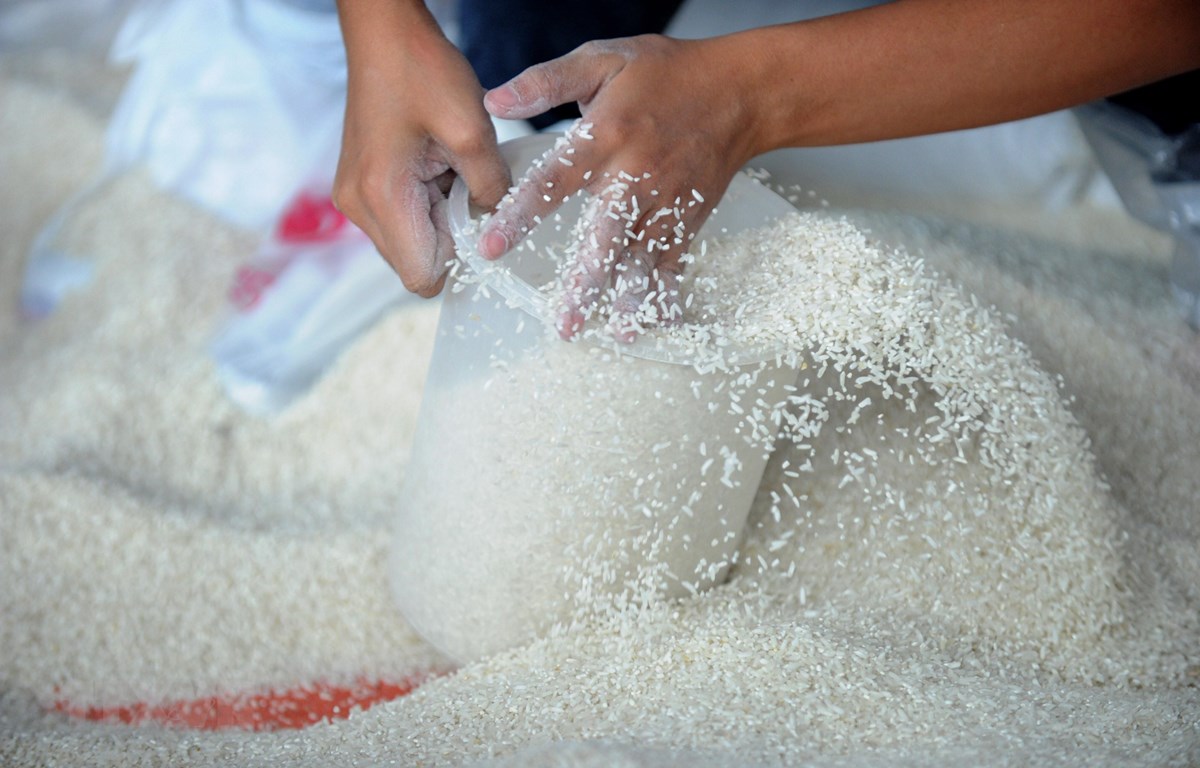 Khẳng định không thiếu, vì sao Việt Nam phải nhập khẩu gạo?