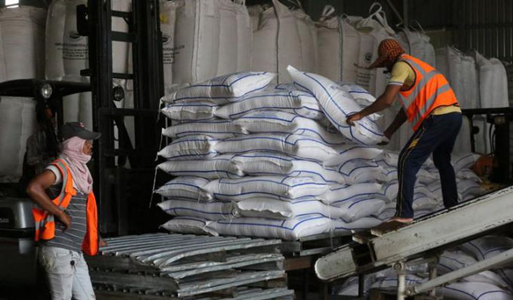 Xuất khẩu gạo Campuchia tăng mạnh trong năm 2020
