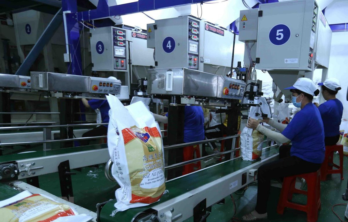 Tín hiệu tích cực từ thị trường nhập khẩu gạo của Philippines 