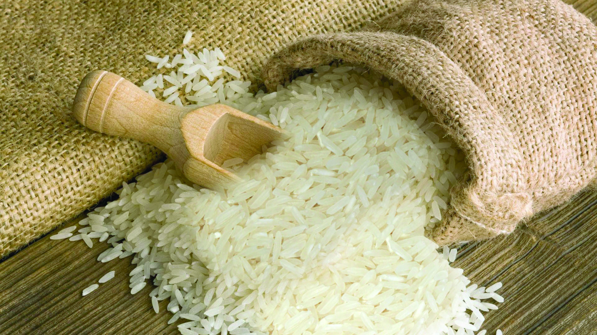 Philippines: Nhập khẩu gạo được USDA hạ dự báo 2