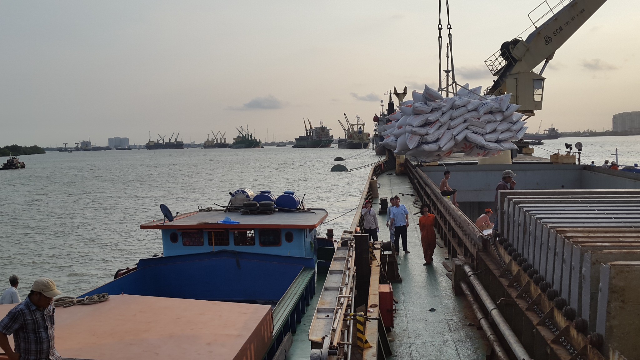 Philippines: Nhập khẩu gạo được USDA hạ dự báo 3