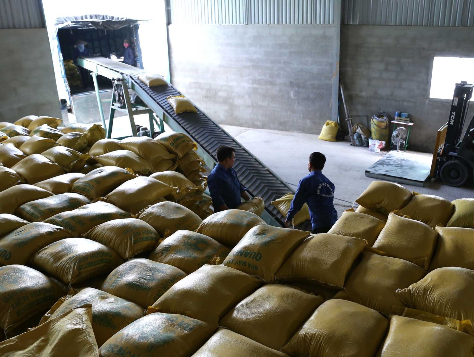 Philippines: Nhập khẩu gạo được USDA hạ dự báo 1