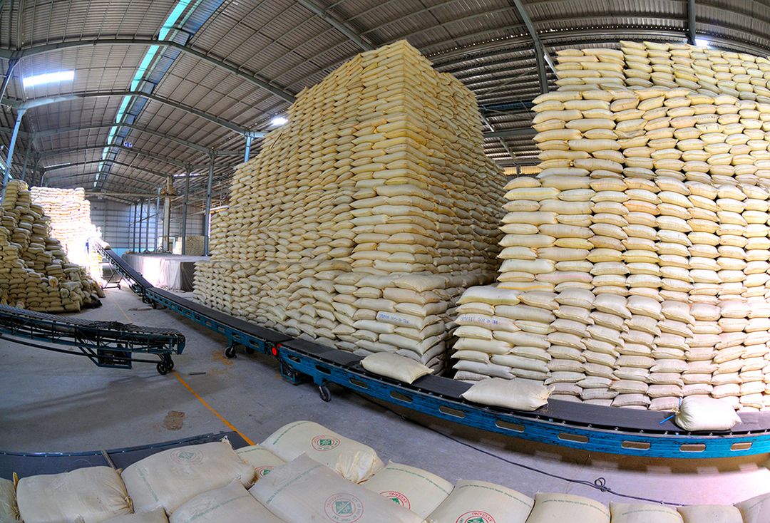 Xuất khẩu gạo Thái Lan giảm xuống mức thấp nhất