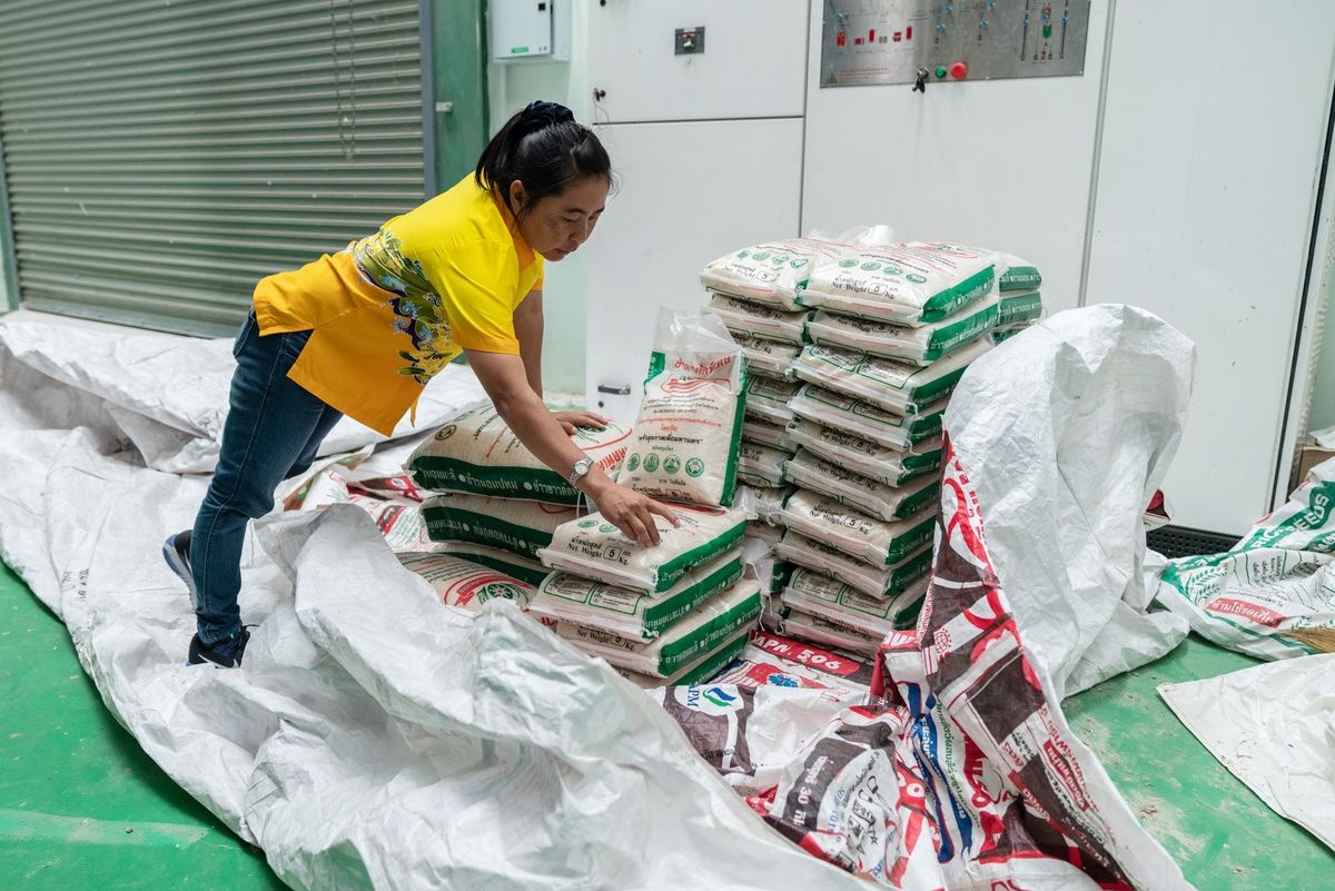 Nguyên nhân khiến gạo Thái Lan mất dần lợi thế cạnh tranh
