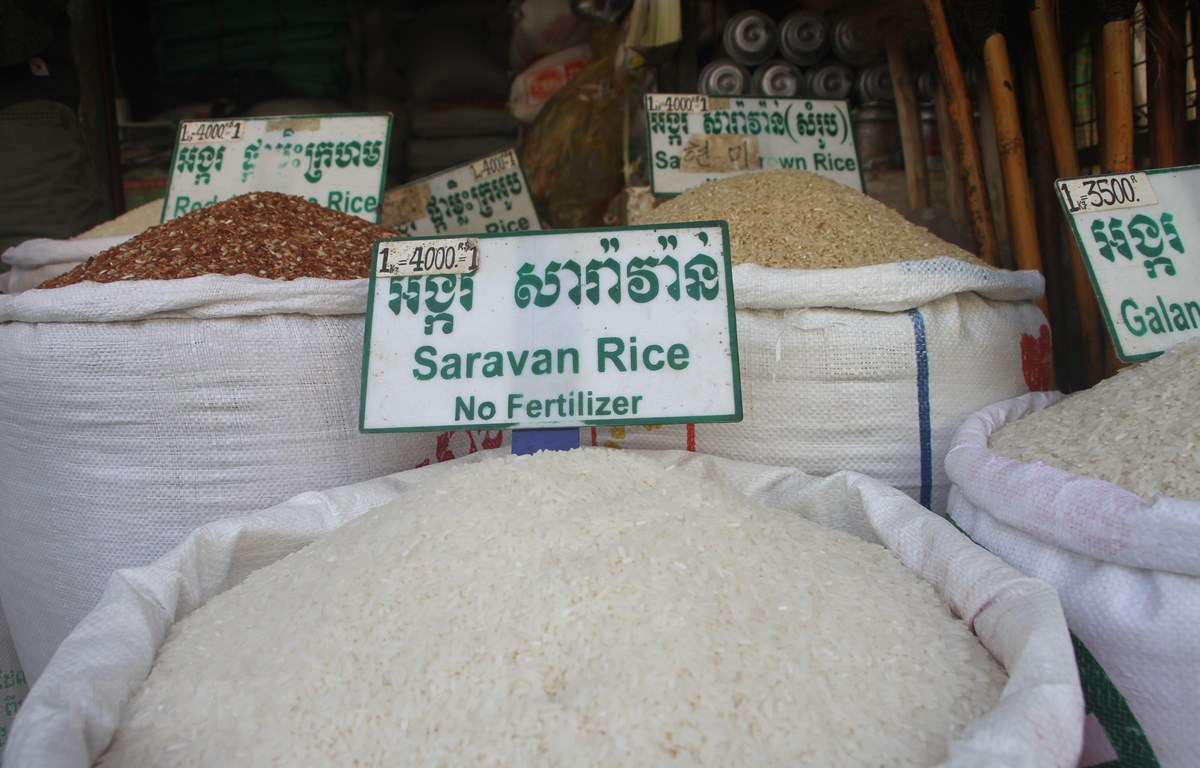 Việt Nam nhập khẩu gạo lần đầu tiên từ Ấn Độ