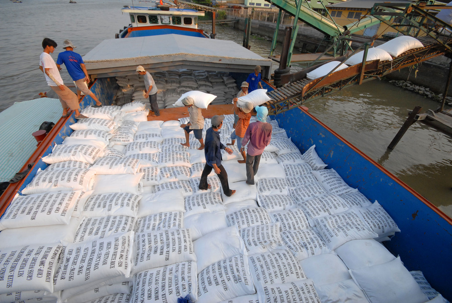  Triển vọng trong thị trường Việt Nam nhập khẩu gạo