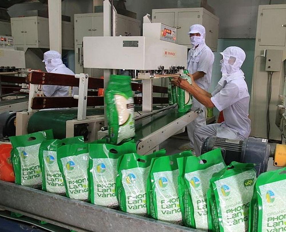 UKVFTA giúp xuất khẩu gạo rộng cửa vào thị trường Anh Quốc