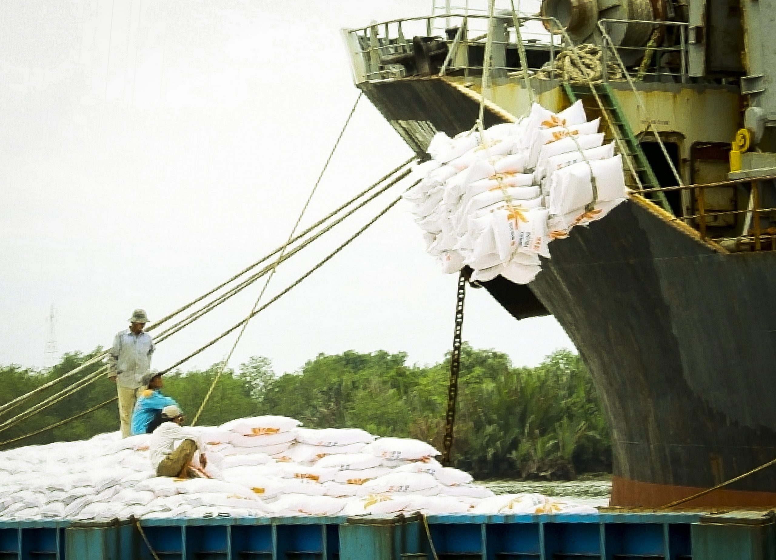 Xuất khẩu gạo của Thái Lan giảm mạnh