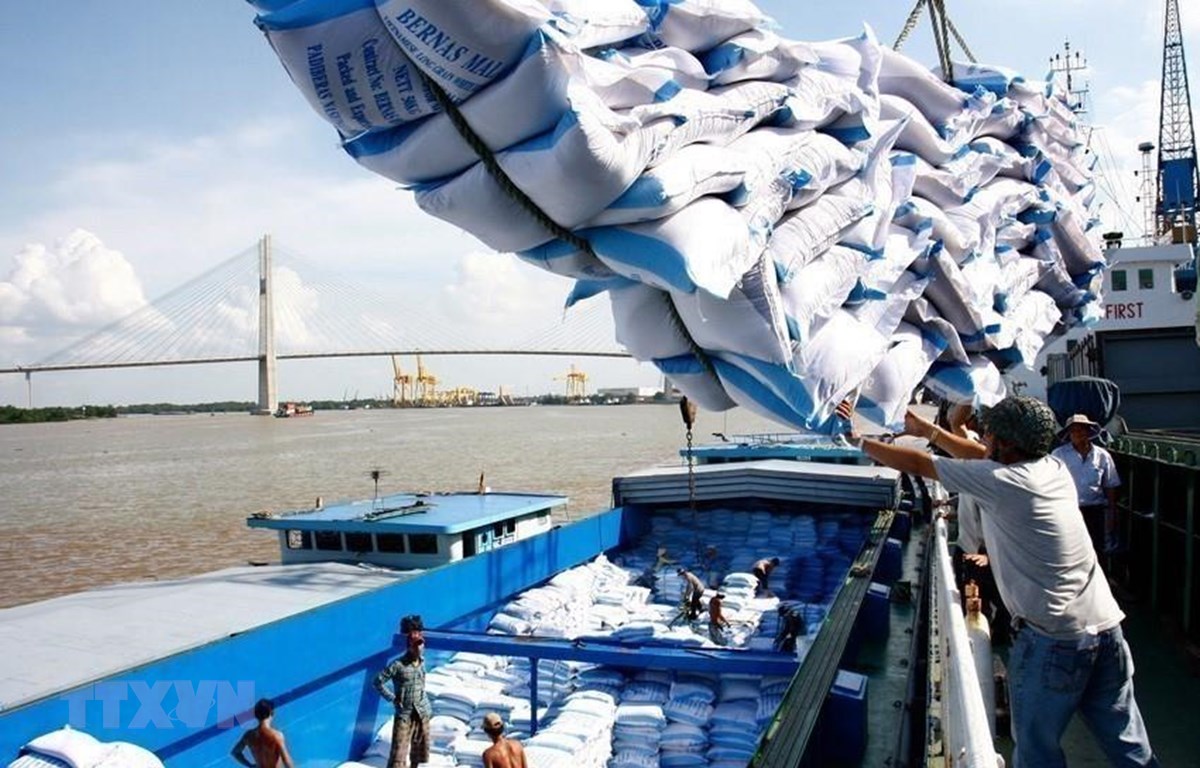 Nguyên nhân khiến xuất  khẩu gạo Thái Lan lao dốc?