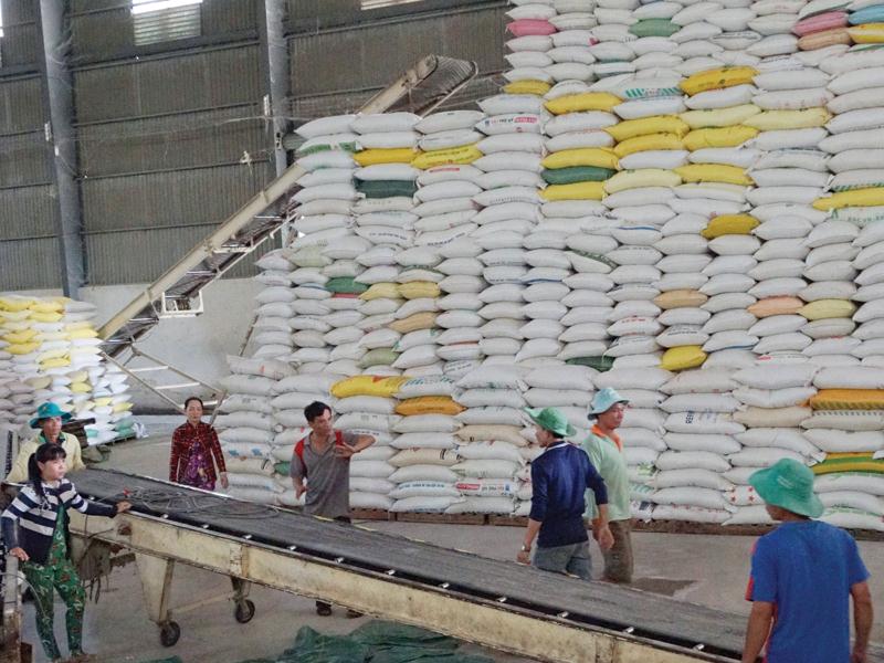 Xuất khẩu gạo Thái Lan bị Ấn Độ và Việt Nam vượt mặt