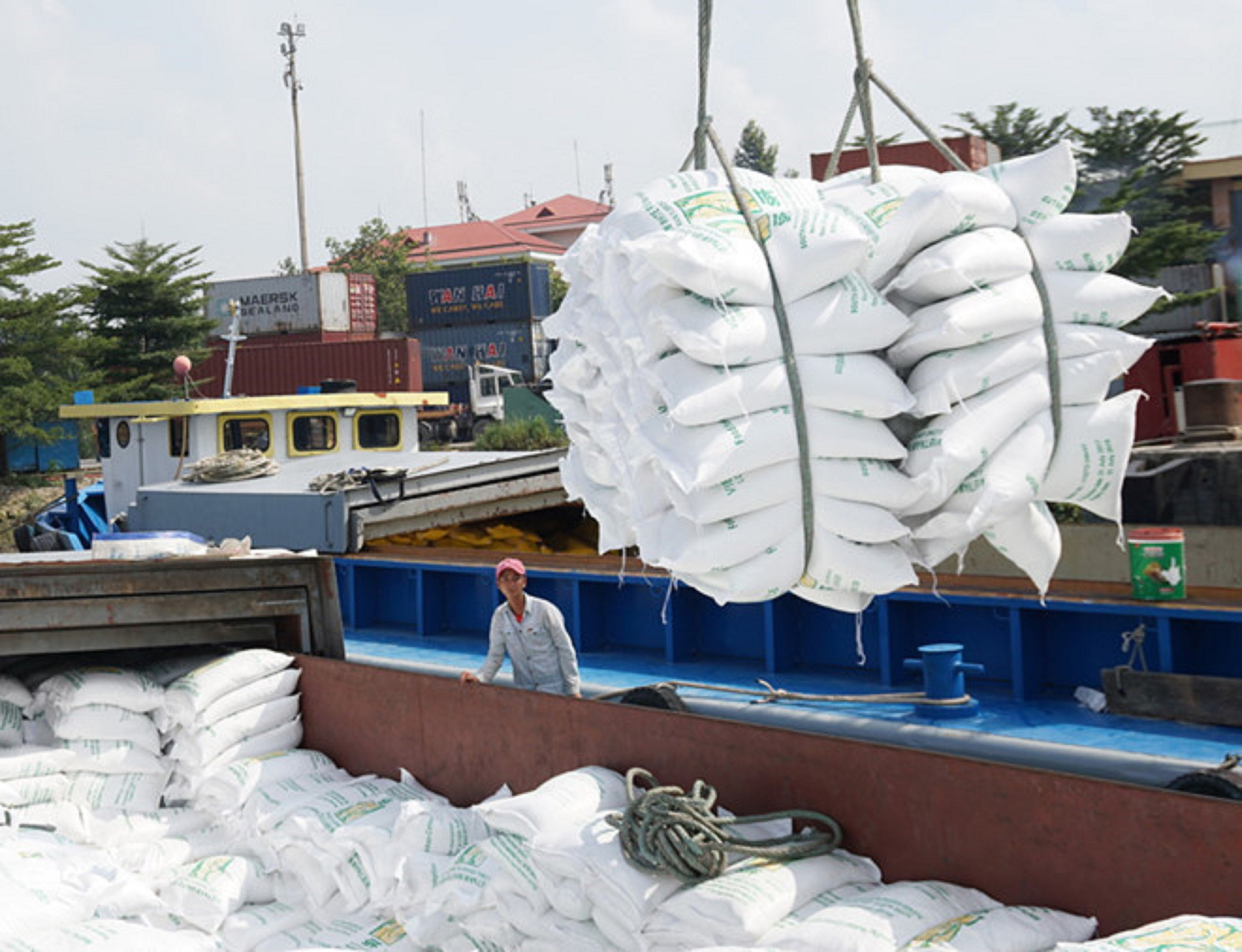 Thị trường xuất khẩu gạo Thái Lan năm 2021 có thể sẽ vẫn thấp