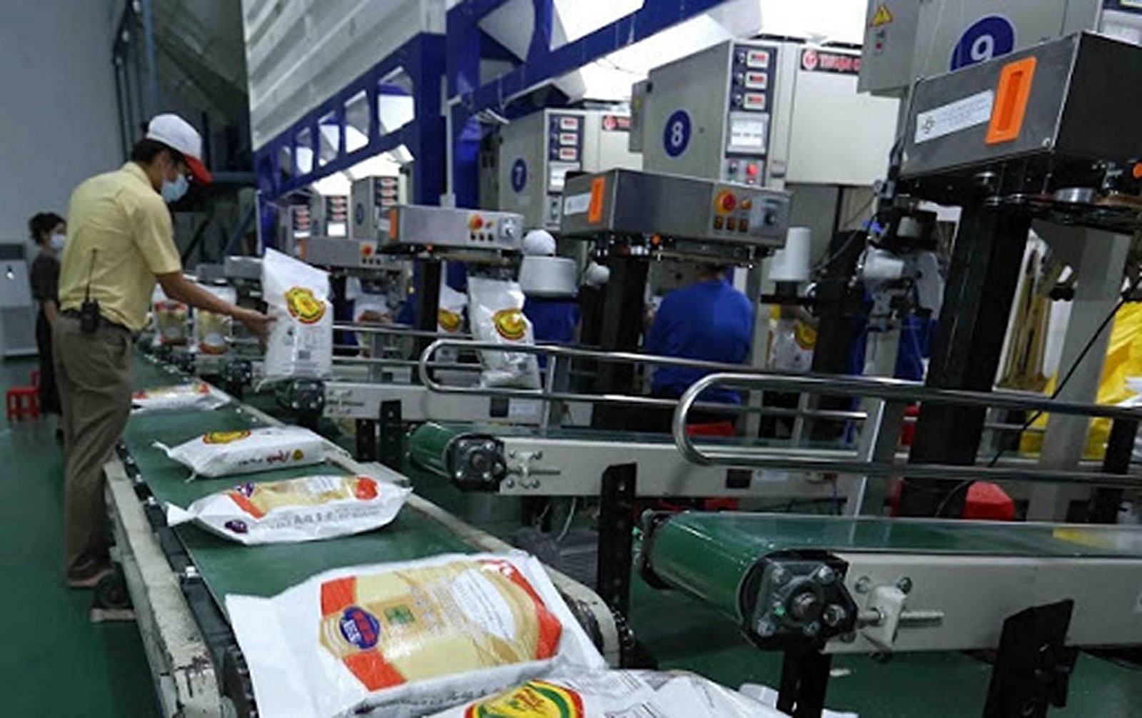 Thị trường xuất khẩu gạo Thái Lan giảm xuống mức thấp