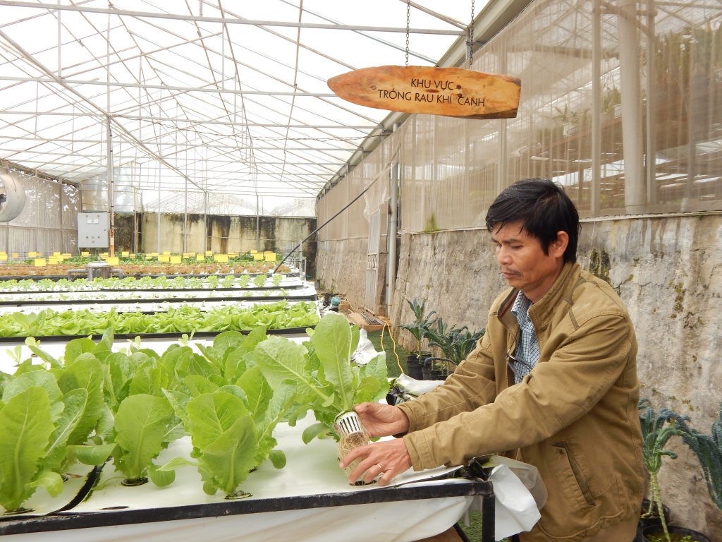 Top 10 thị trường Việt Nam xuất khẩu rau quả nhiều nhất