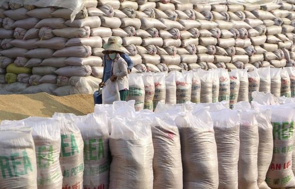 Trong nước đang duy trì bình ổn thị trường lúa gạo 1