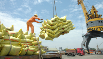 Nước ta đang duy trì bình ổn thị trường lúa gạo trong nước