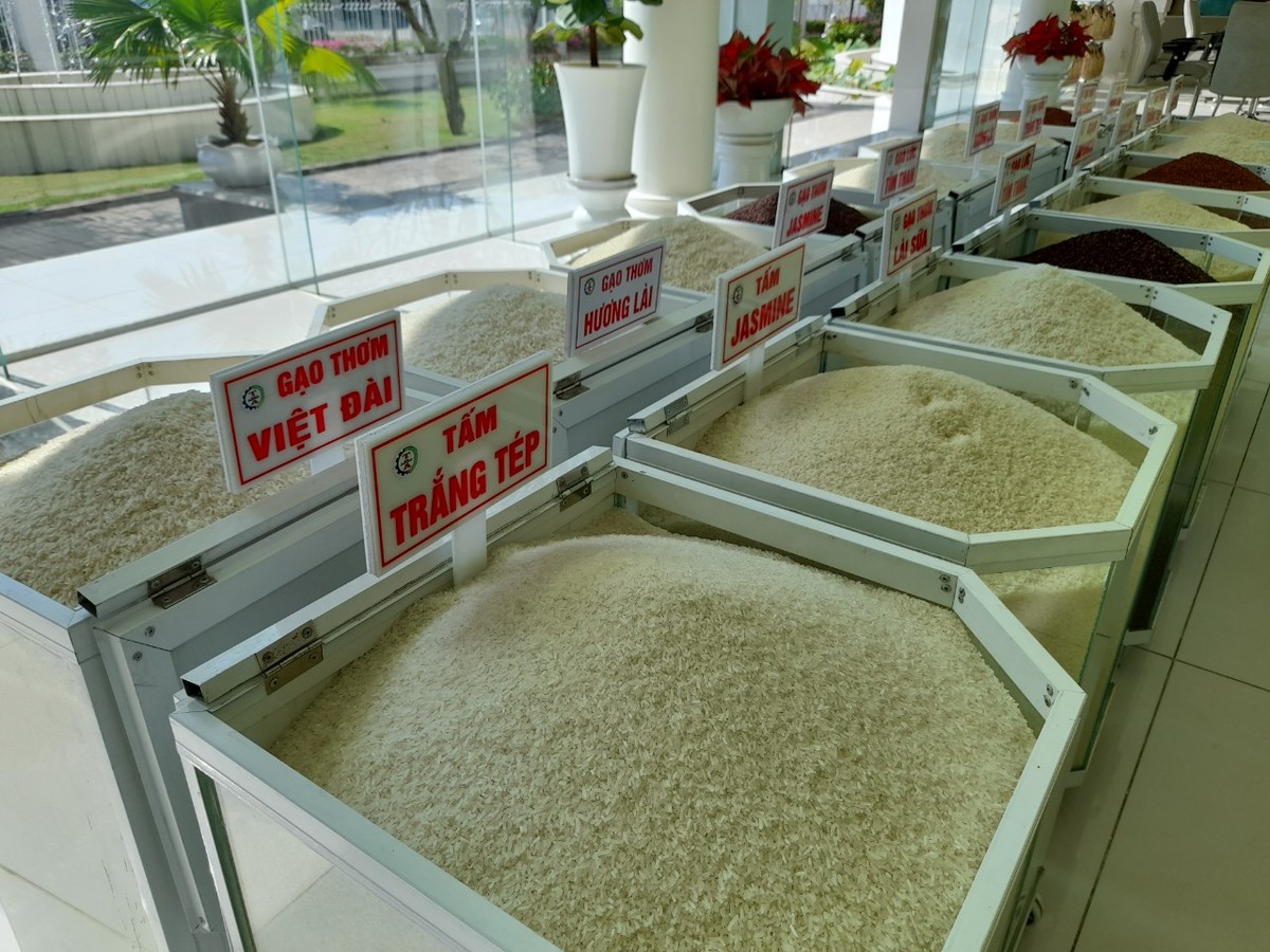 Giá gạo Thái Lan tăng lên mức cao nhất trong những năm qua