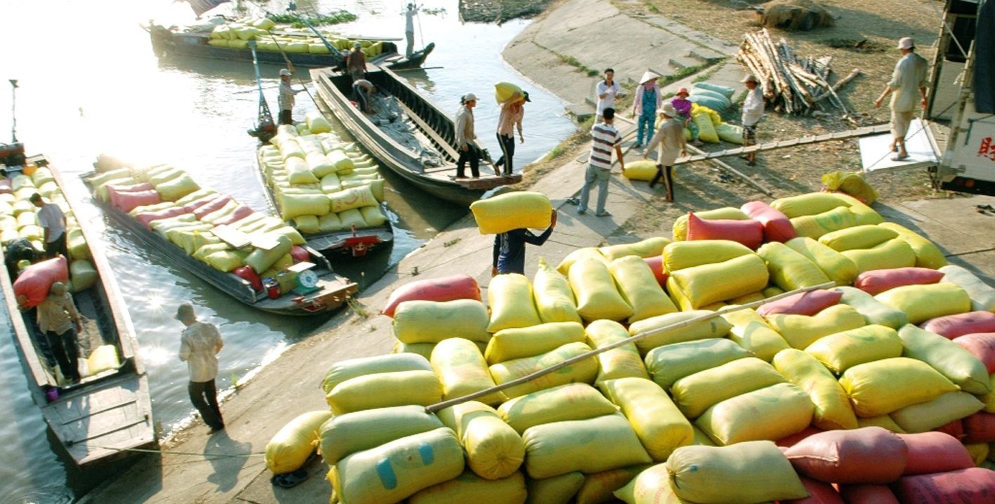 Việt Nam nhập khẩu lúa gạo tấp nập từ Campuchia 1